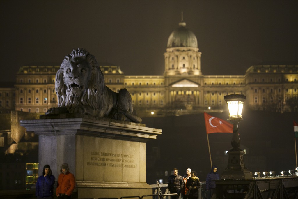 lion statue on the bridge in budapest