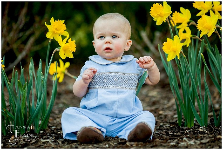 a one year old sits among the daffodils