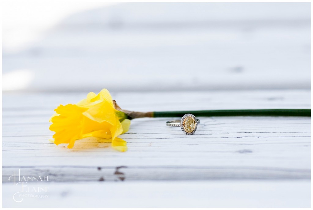 yellow canary diamond engagement ring on a white bridge next to a daffodil