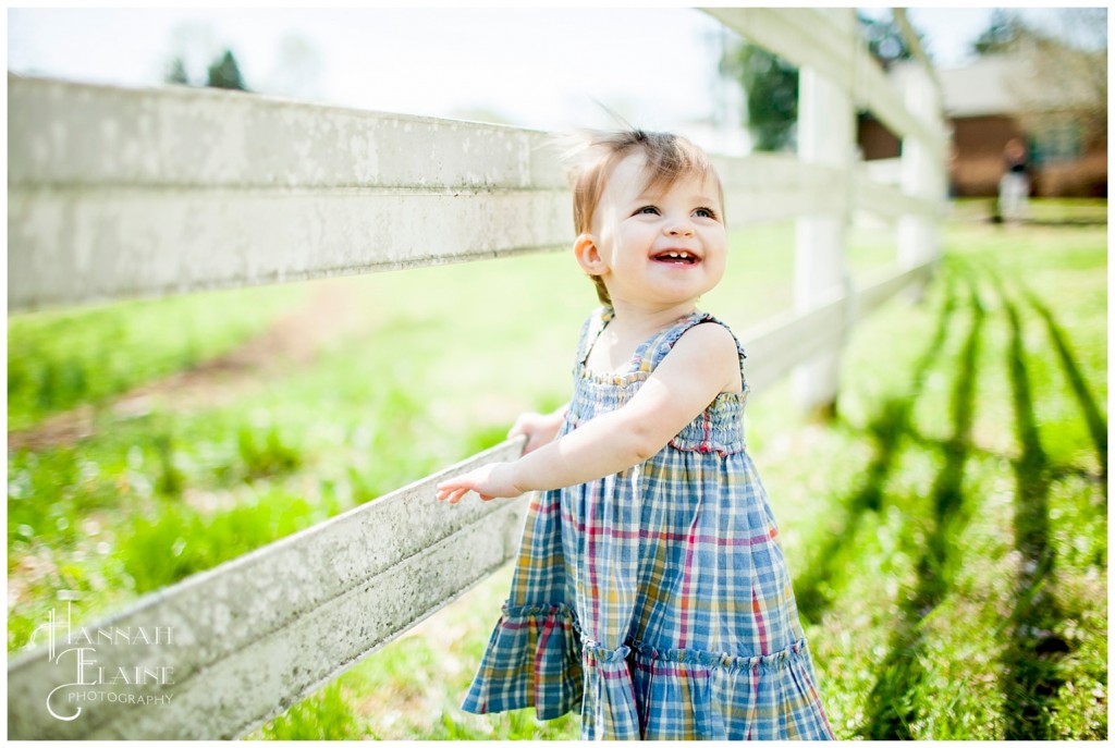 juliet watches the horses at EAC