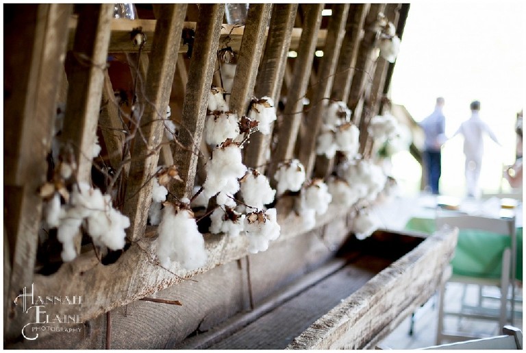 cotton decoration at a barn wedding reception