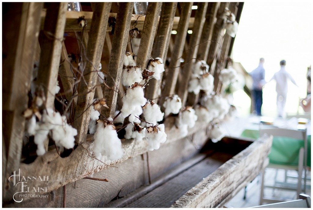 cotton decoration at a barn wedding reception