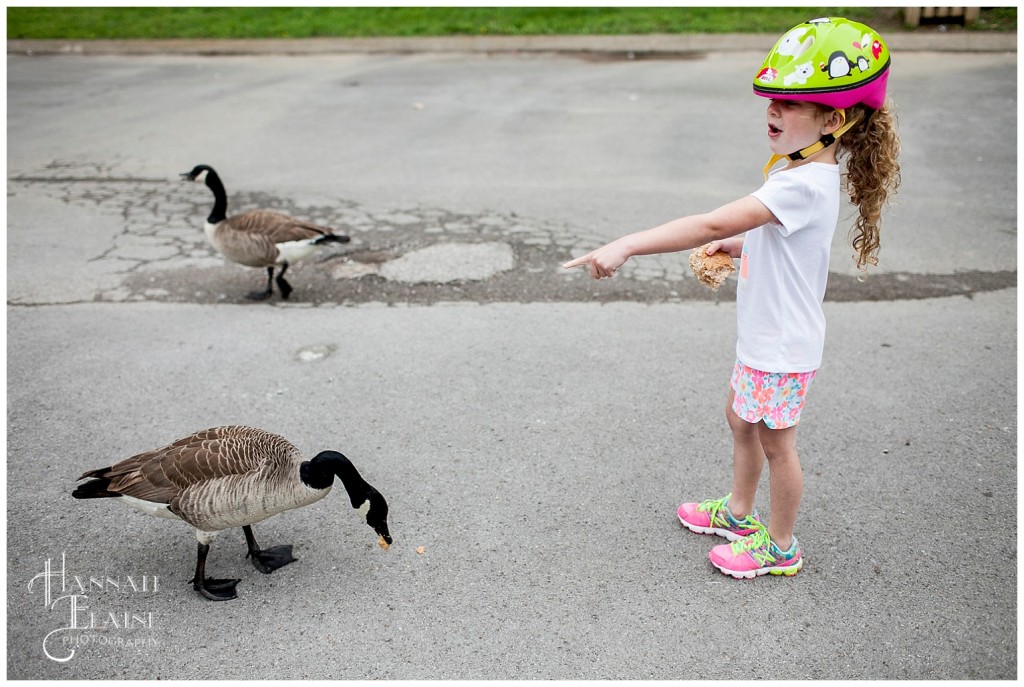 feeding the geese at shelby park