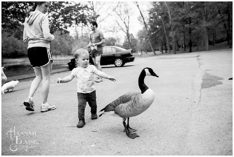 family feeding the ducks in shelby park