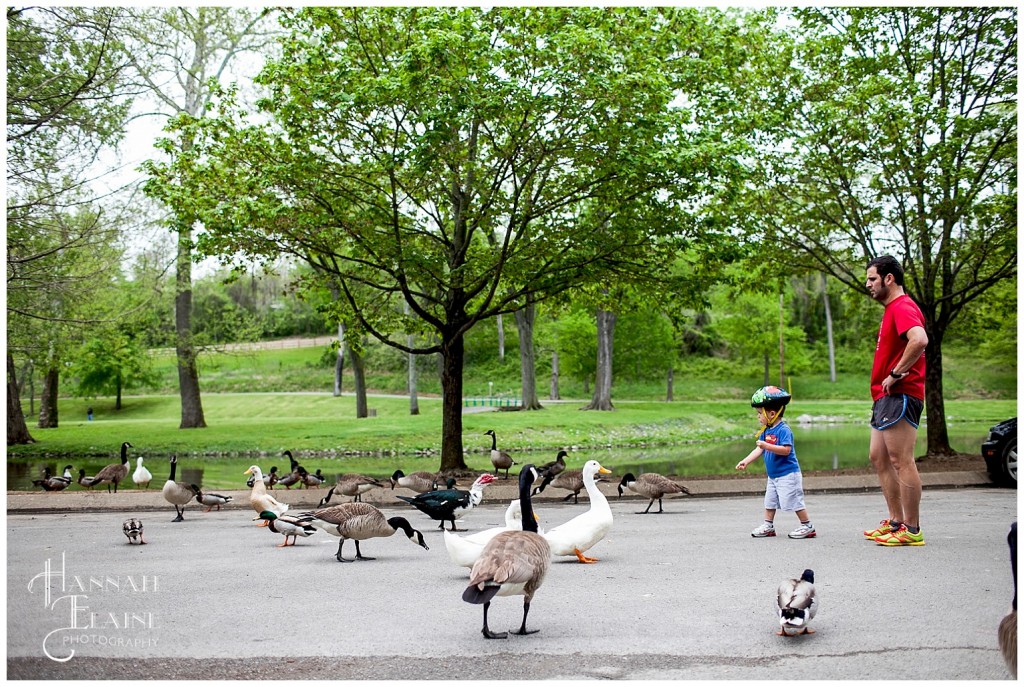 trying to feed the ducks at shelby