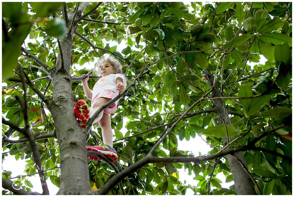 climbing trees in five points in east nashville