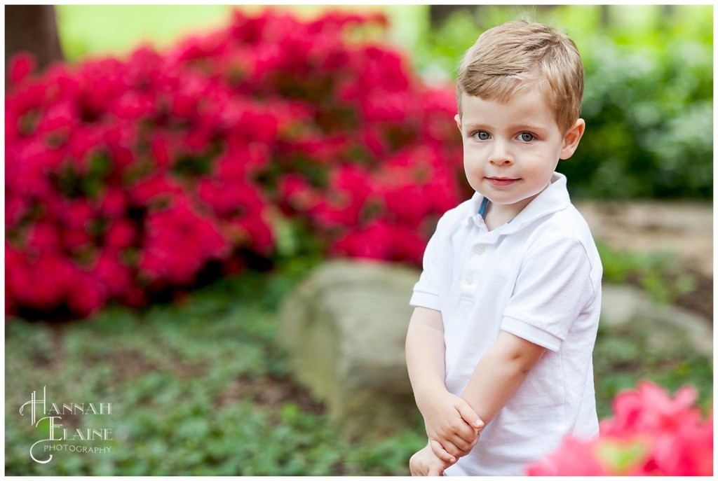 james smiles in the azalea flower garden