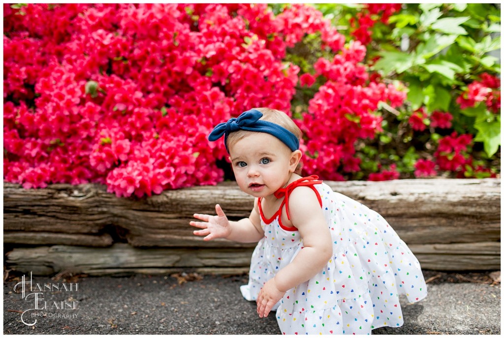 anna plays next to the azalea bush