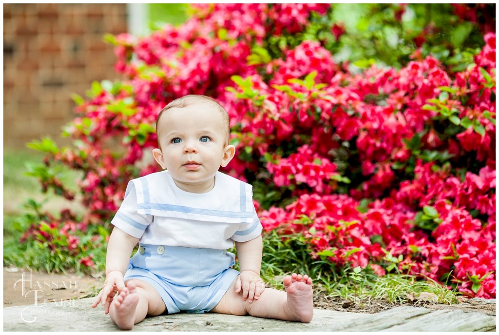 little boy sits in front of the bright pink azalea bush