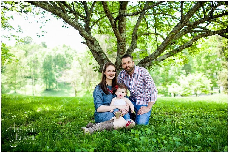 family of three takes a portrait under a tree at the park