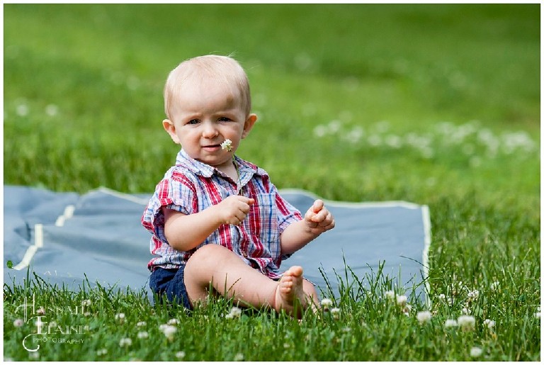 small boy sits on a blanket on a hill and holds a flower