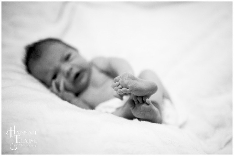 black and white close up of newborn feet