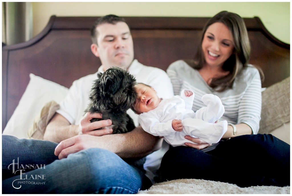 parent's holding dog kissing baby