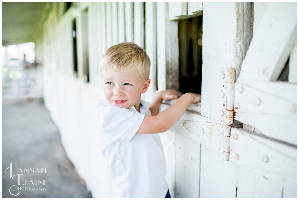 lucas checks out the inside of the harlinsdale stables