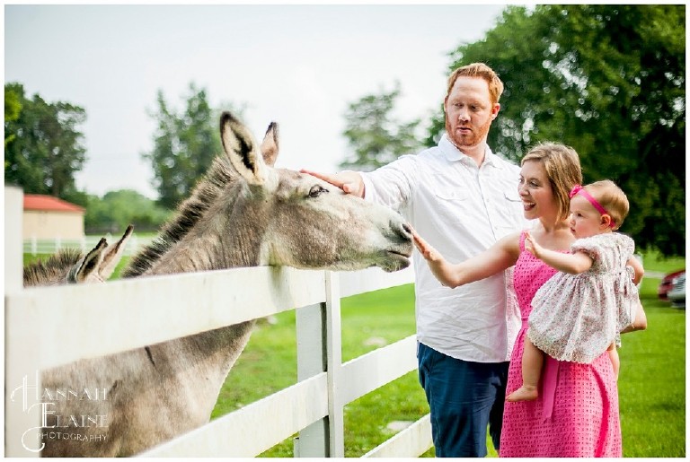 family meets the farm donkeys