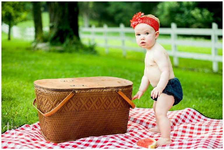 red checkered blanket and picnic basket props for photo shoot