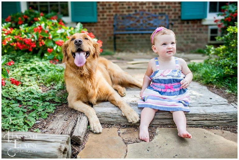a little girl and her golden retriever hanging out
