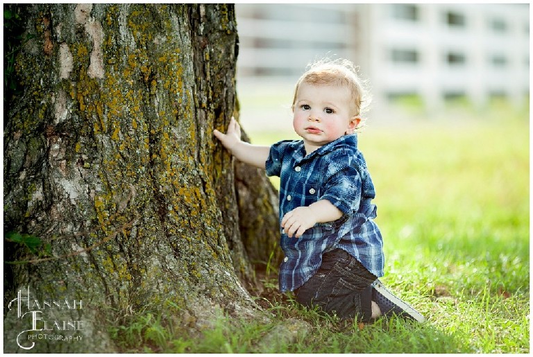 boy inspects the texture of tree bark