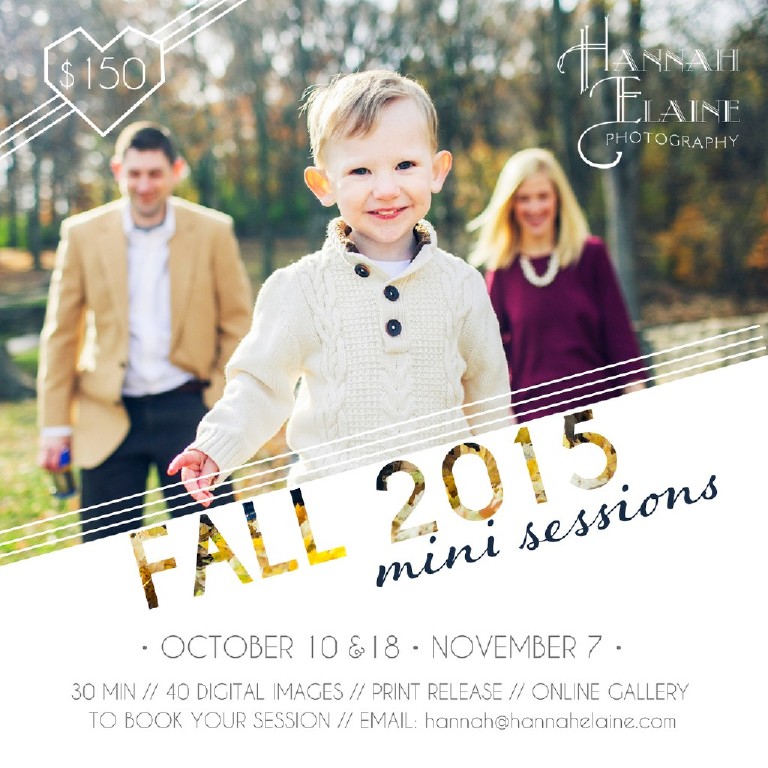 banner for family mini sessions in nashville featuring shoot details and a family photo