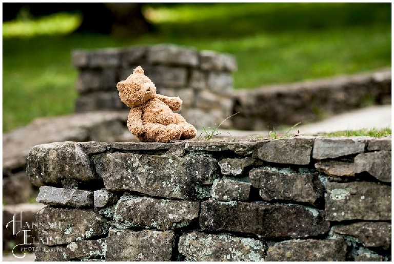 a teddy bear hangs out on top of an old rock wall at percy warner