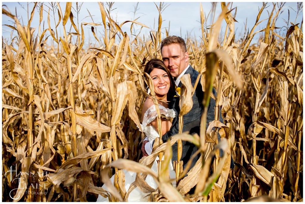 children of the corn