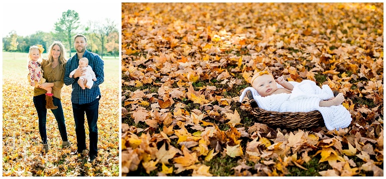 newborn photos in fall leaves