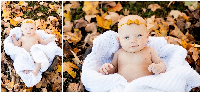 fall foliage for newborn photos