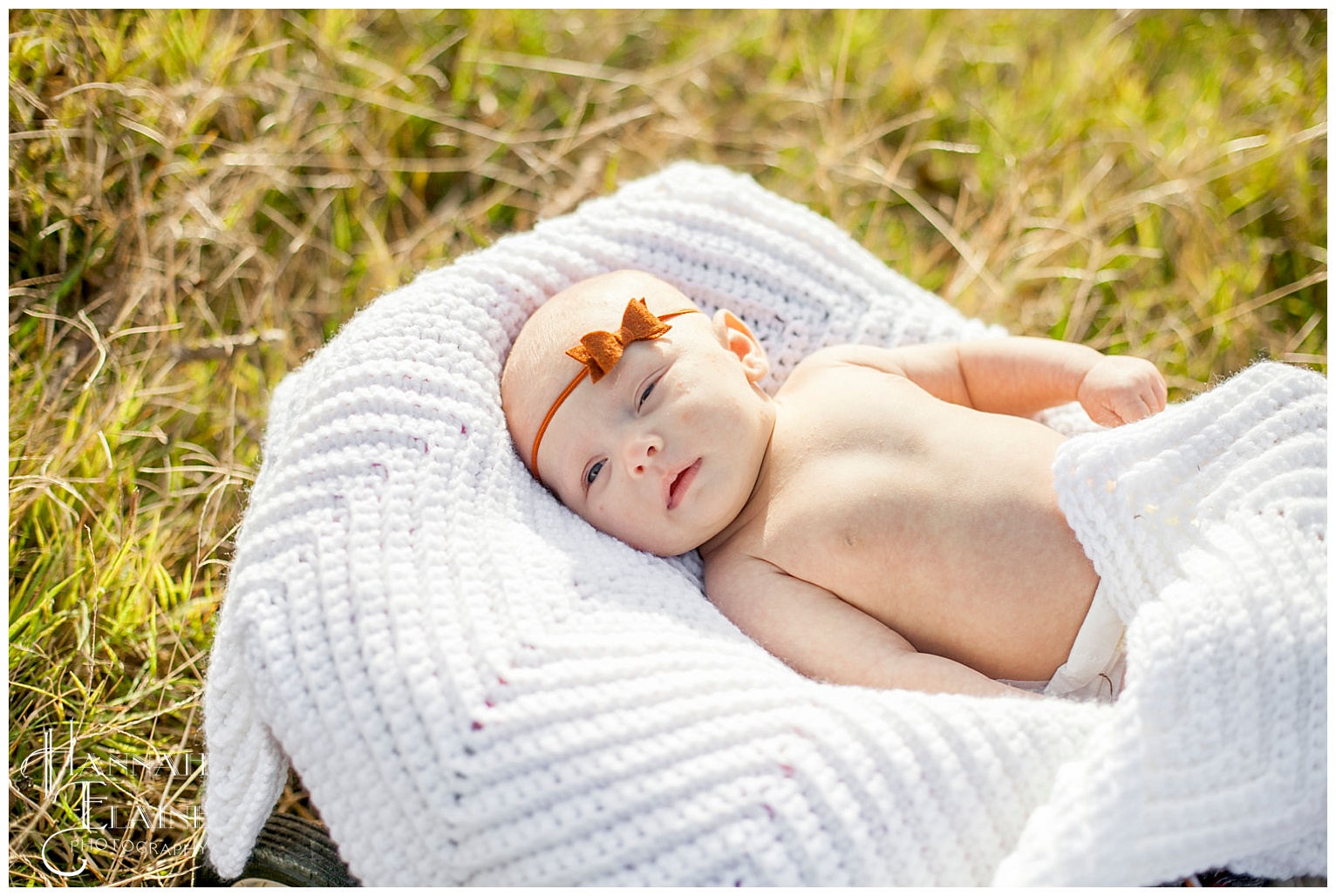 newborn wagon