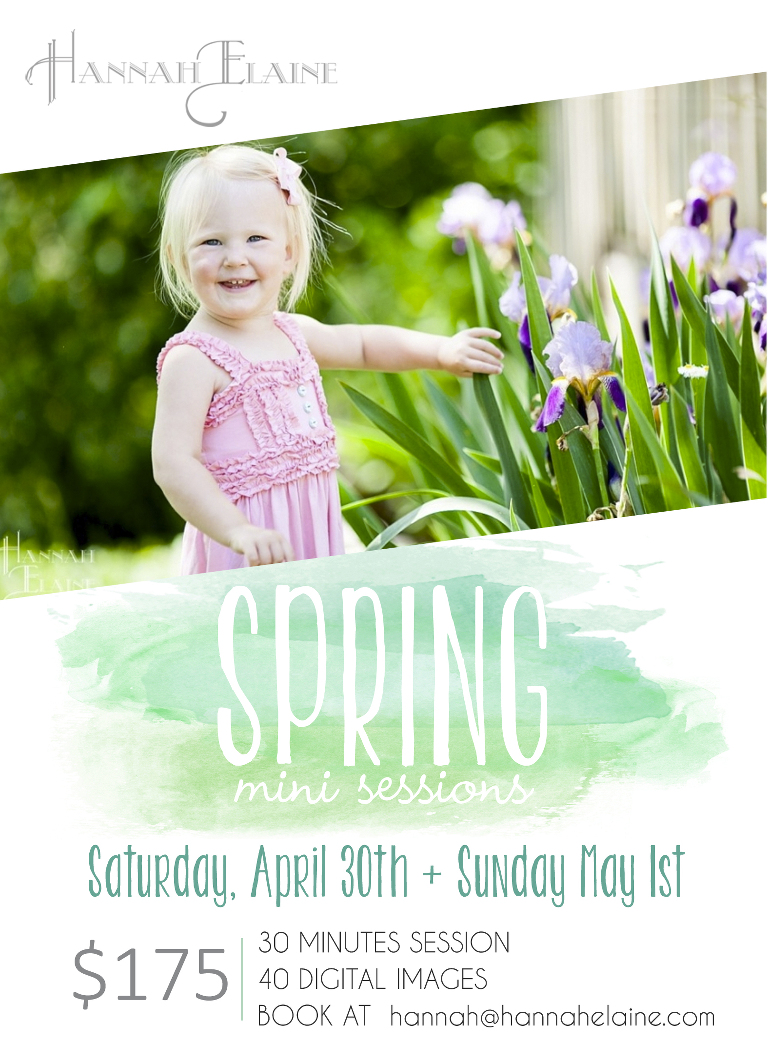 a digital flyer for spring mini sessions in the nashville franklin and leiper's fork area