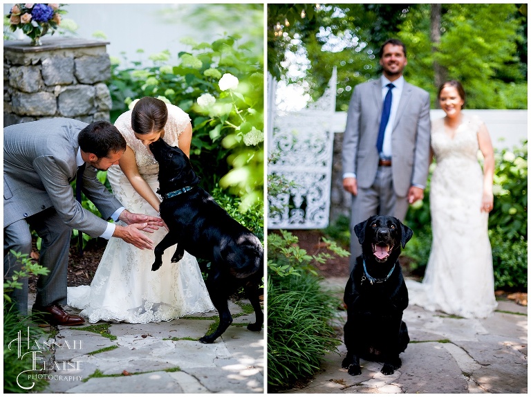 bride and groom with their dog bailey