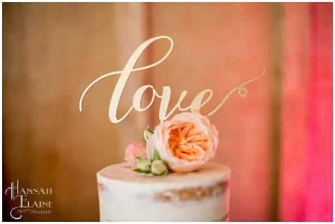 Hannah Elaine Photography » silly moments. beautiful love.