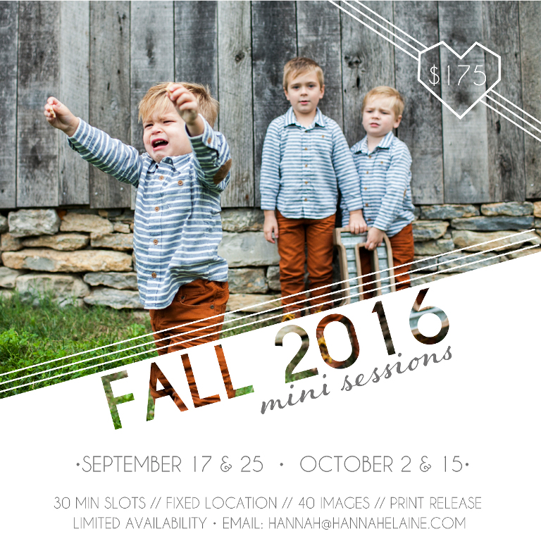 nashville and franklin fall mini sessions date announcement banner