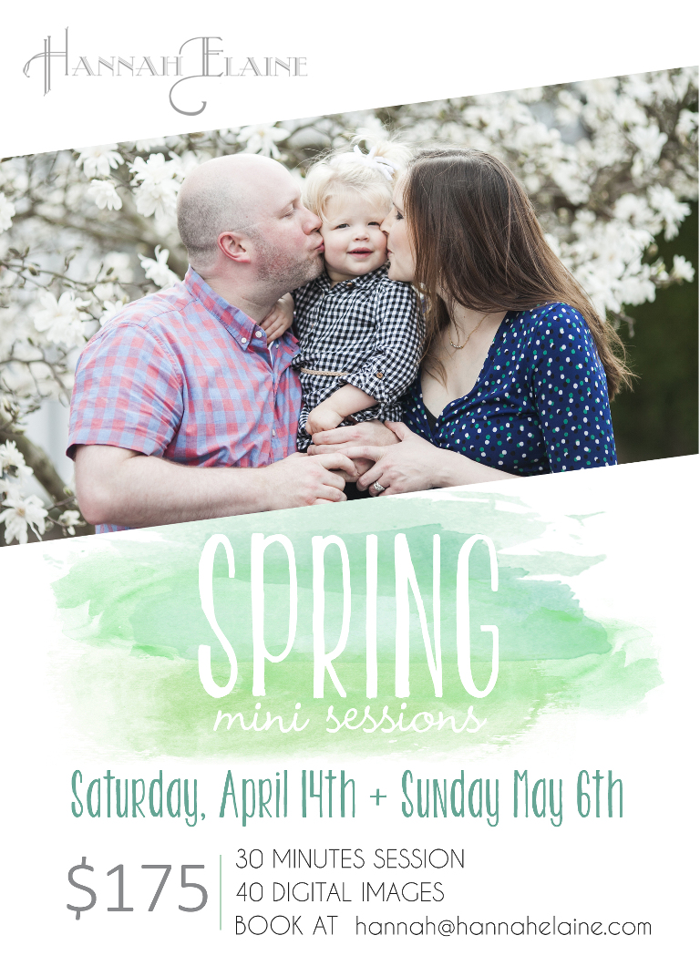 spring 2018 mini sessions graphic for families in nashville