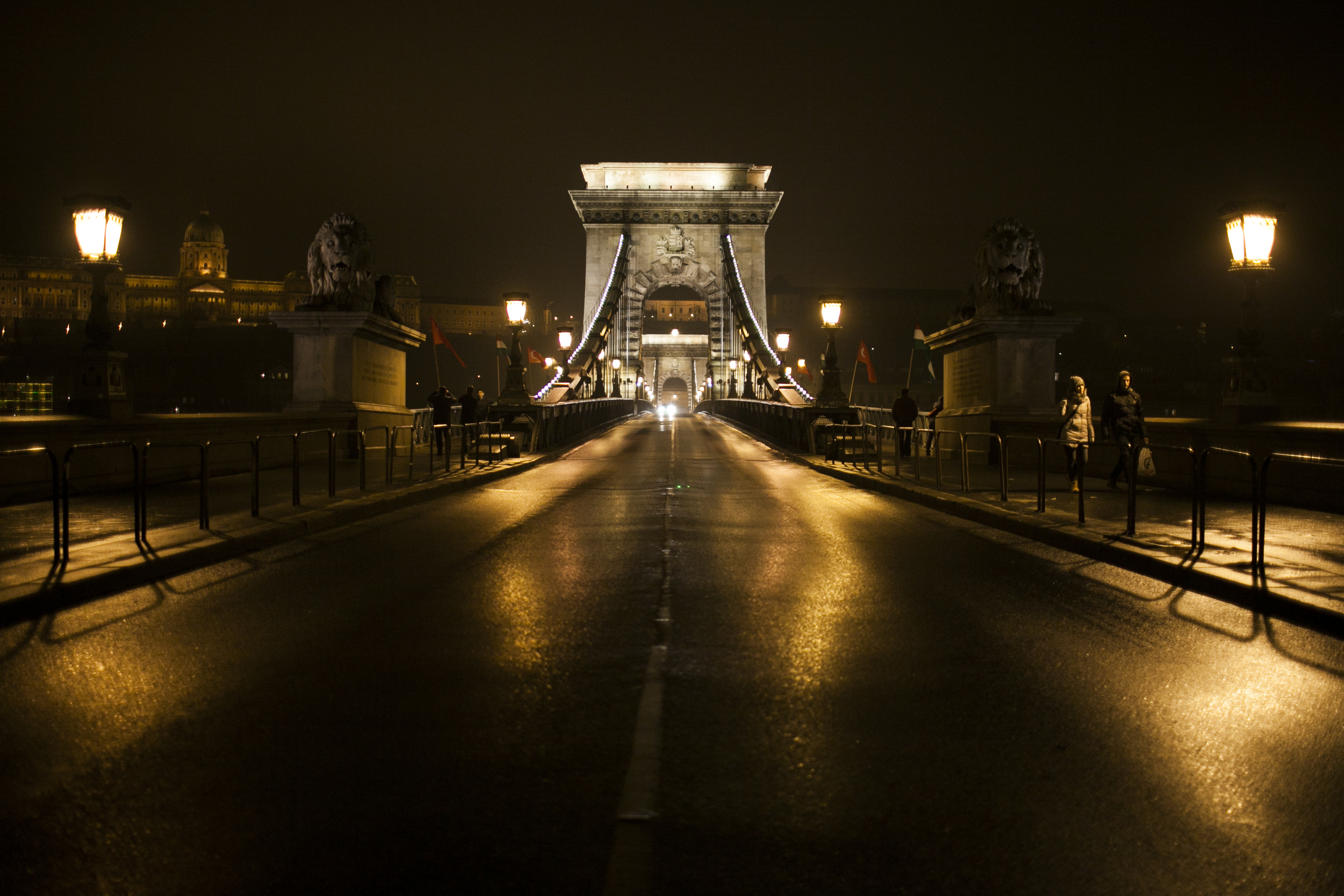 budapest bridge at night with wet streets reflecting structure