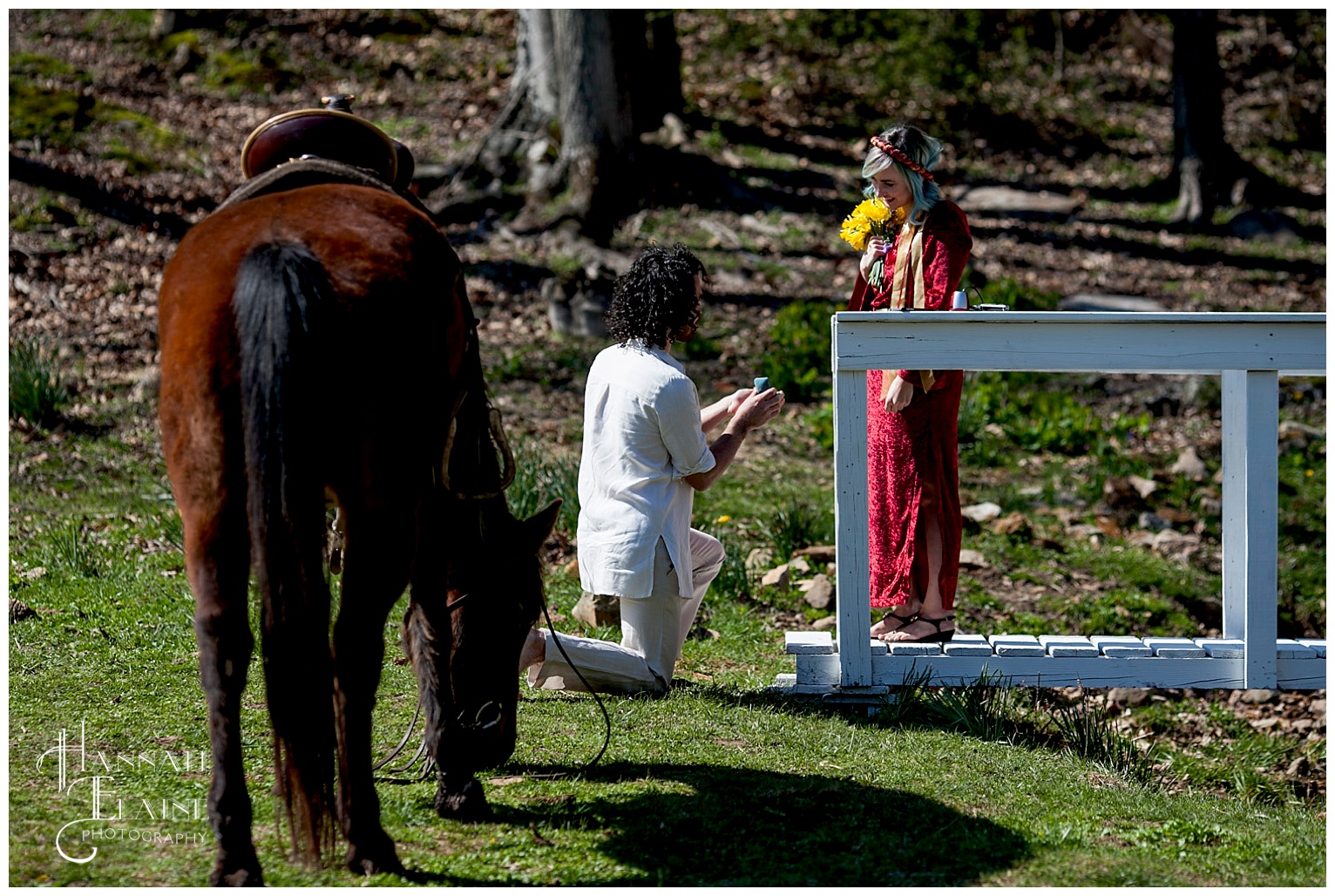 jirc proposes to elaina on a white bridge while a horse grazes